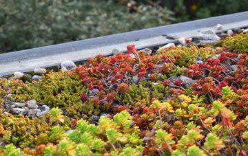 the cost of Sandford Batch green roof installation