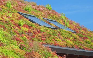 Sandford Batch living roof systems