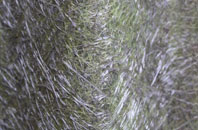 Sandford Batch fibreglass roof work